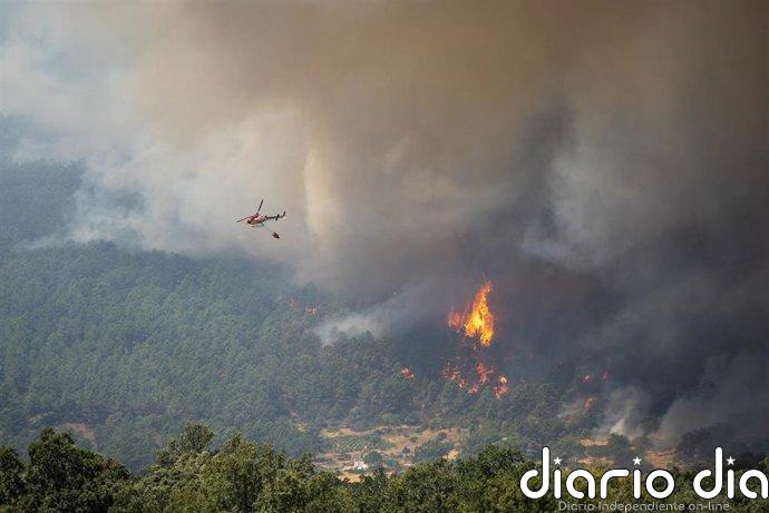 Varios fuegos activos arrasan decenas de miles de hectáreas en España: Los de la C.Madrid y Ávila, los que más preocupan