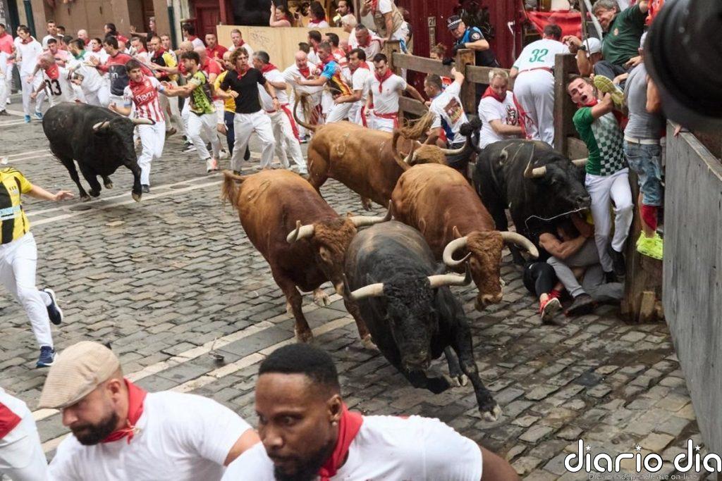 Veloz encierro de Álvaro Núñez en San Fermín con los toros liderando la carrera por delante de los mansos