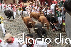 Veloz encierro de Álvaro Núñez en San Fermín con los toros liderando la carrera por delante de los mansos