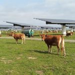 Velto Renewables cierra refinanciación de 800 millones para una cartera solar operativa de 218 MW en España