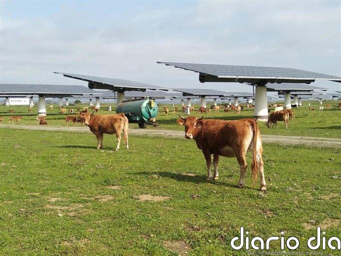 Velto Renewables cierra refinanciación de 800 millones para una cartera solar operativa de 218 MW en España