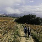 Zamora Company (Ramón Bilbao) acelera su estrategia de sostenibilidad con un 82% de energía renovable