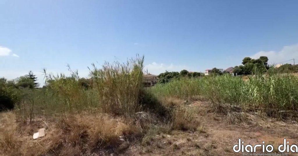 Agricultores valencianos denuncian la plaga de garrapatas a causa del abandono del campo