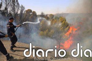 Al menos doce muertos y más de 50 quemados en incendios en el noreste de Argelia