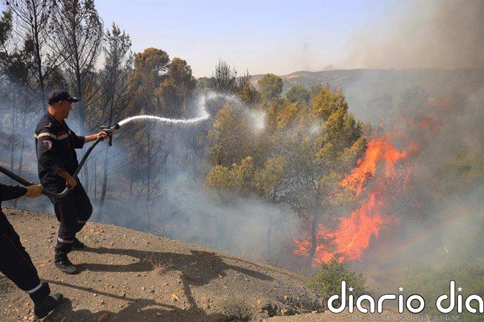 Al menos doce muertos y más de 50 quemados en incendios en el noreste de Argelia