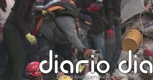 Alegría tras el rescate de un bebé gato atrapado en un edificio derrumbado en Pereira (Colombia)