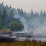 Alemania ordena evacuar parcialmente Monschau, fronteriza con Bélgica, por el gran incendio de Hautes Fagnes