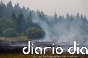 Alemania ordena evacuar parcialmente Monschau, fronteriza con Bélgica, por el gran incendio de Hautes Fagnes