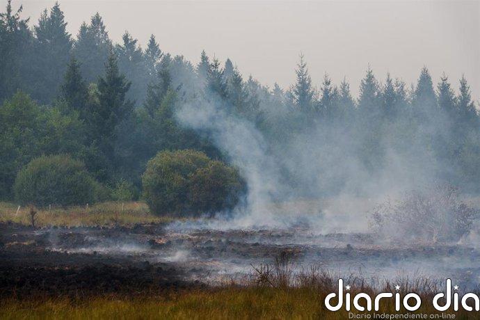 Alemania ordena evacuar parcialmente Monschau, fronteriza con Bélgica, por el gran incendio de Hautes Fagnes