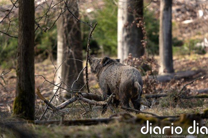 Amigos de la Tierra La Rioja reclama al Defensor del Pueblo una revisión del régimen cinegético en La Rioja