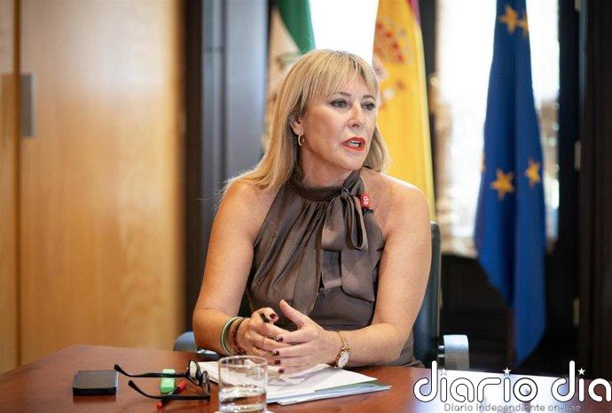Andalucía crea hasta julio 13.875 nuevas sociedades mercantiles, un 6,6% más que en 2025
