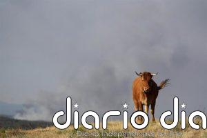 "Asegurado" el perímetro en Veguellina (León) que baja a gravedad 1 y permite realojar los tres pueblos evacuados