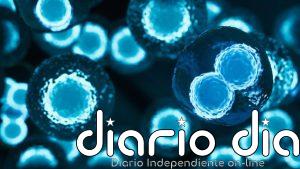 Así se 'entrena' el sistema inmune para combatir el cáncer