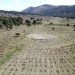 Asociación Cultural Carlo Simi retomará en septiembre el expediente para declarar BIC el cementerio de Sad Hill