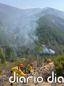 Aumentan a 244 los efectivos terrestres y a 24 los medios aéreos en el incendio de Pinofranqueado