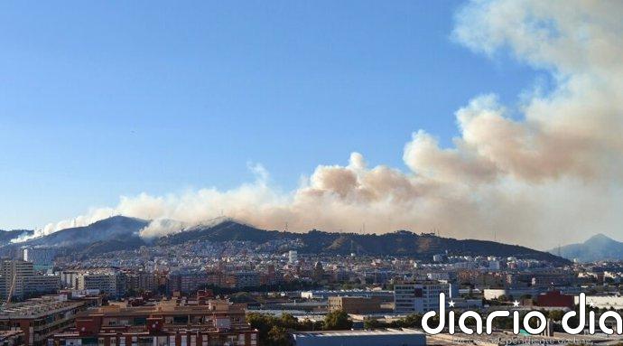 Barcelona eleva a fase de emergencia el Plan de Actuación Municipal por el incendio de Collserola