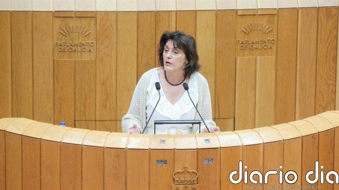 BNG denuncia que en pleno agosto hay franjas secundarias "sin limpiar" en parroquias "de alto riesgo de incendio"