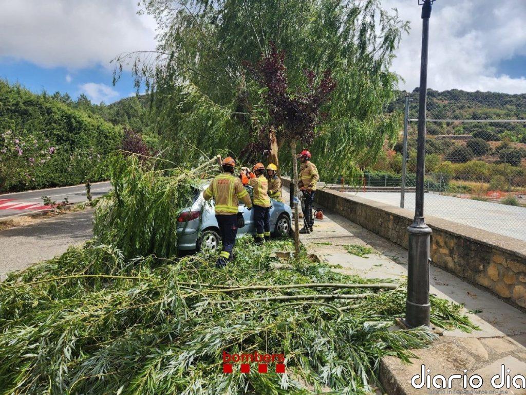 Bombers atiende 129 avisos por las tormentas entre las 17 y 18.30 horas de este lunes