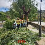 Bombers atiende 129 avisos por las tormentas entre las 17 y 18.30 horas de este lunes