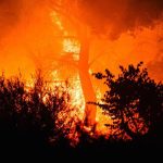 Calcinadas más de 11.100 hectáreas en incendios al noroeste de Atenas