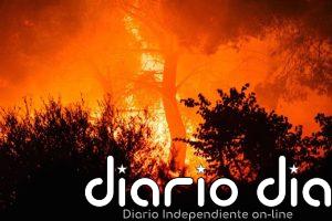 Calcinadas más de 11.100 hectáreas en incendios al noroeste de Atenas