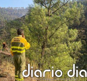 Casi 30 efectivos del Infoex pasan la noche en Pinofranqueado (Cáceres) para vigilar y rematar el incendio