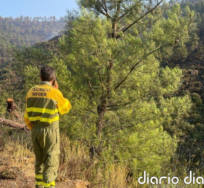 Casi 30 efectivos del Infoex pasan la noche en Pinofranqueado (Cáceres) para vigilar y rematar el incendio
