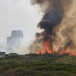 Catalá: "El Ayuntamiento llegará hasta el último rincón para averiguar la causa del incendio de El Saler"