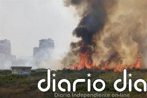 Catalá: "El Ayuntamiento llegará hasta el último rincón para averiguar la causa del incendio de El Saler"