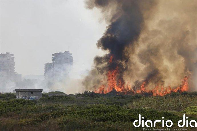 Catalá: "El Ayuntamiento llegará hasta el último rincón para averiguar la causa del incendio de El Saler"