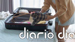 CCOO recuerda que se puede viajar estando de baja porque la incapacidad temporal no es una reclusión domiciliaria