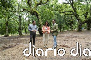 Cerdedo Cotobade (Pontevedra) se prepara para que Feijóo arranque este sábado el curso político