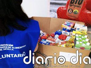 CERMI ultima la elaboración del primer gran estudio sobre voluntariado y personas con discapacidad
