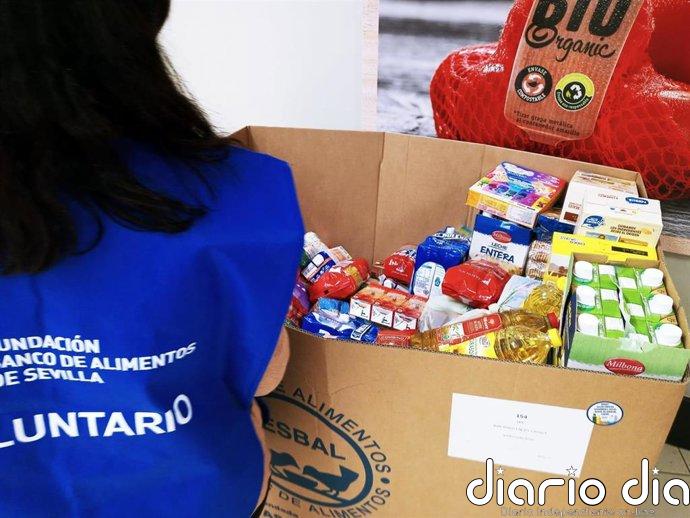 CERMI ultima la elaboración del primer gran estudio sobre voluntariado y personas con discapacidad