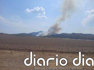 CHA reclama un plan de protección y recuperación de las Sierras de Algairén y Vicor tras el último incendio