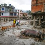 China eleva a 16 la cifra de ciudadanos fallecidos tras las devastadoras inundaciones en Nepal