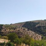 COAG Granada alerta del "grave impacto" que la línea eléctrica en el Cerro Las Monjas provocaría en La Contraviesa