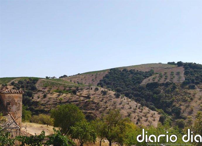 COAG Granada alerta del "grave impacto" que la línea eléctrica en el Cerro Las Monjas provocaría en La Contraviesa