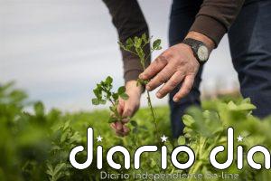COAG pide a UE actualizar la directiva de Nitratos para facilitar el uso de fertilizantes orgánicos locales