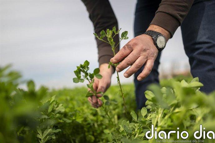 COAG pide a UE actualizar la directiva de Nitratos para facilitar el uso de fertilizantes orgánicos locales