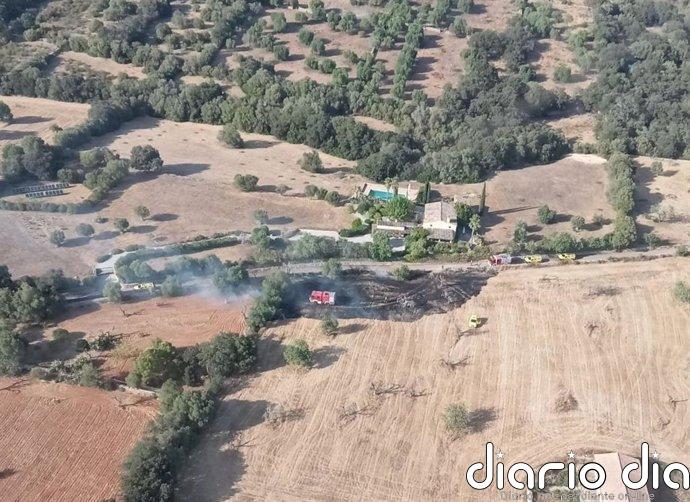 Combaten un incendio agrícola en Llubí