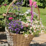 Cómo cuidar de tu jardín en agosto: las claves para que no mueran tus plantas durante las olas de calor