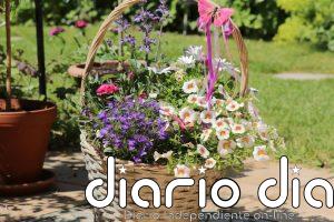 Cómo cuidar de tu jardín en agosto: las claves para que no mueran tus plantas durante las olas de calor