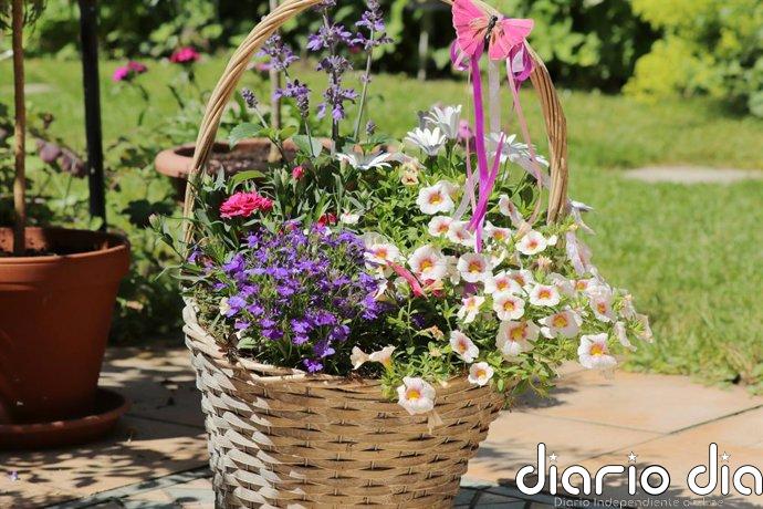 Cómo cuidar de tu jardín en agosto: las claves para que no mueran tus plantas durante las olas de calor