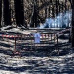 Contrato de emergencia de 2 millones para recuperación ambiental tras el incendio de Burgohondo (Ávila)
