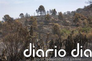 Controlado el incendio de la Vall d'Uixó