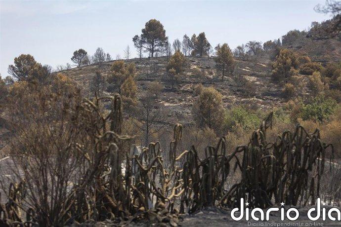 Controlado el incendio de la Vall d'Uixó