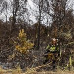 Controlado el incendio forestal de El Saler declarado el jueves