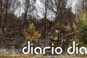 Controlado el incendio forestal de El Saler declarado el jueves