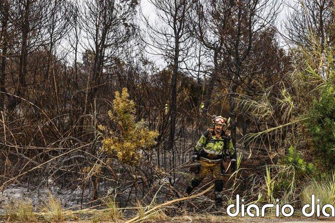 Controlado el incendio forestal de El Saler declarado el jueves